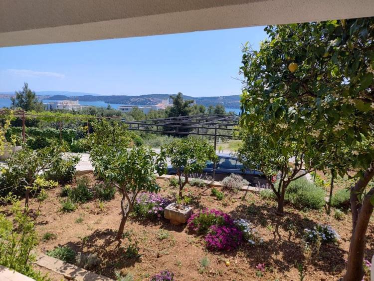 Apartments Tomas Trogir Zewnętrze zdjęcie